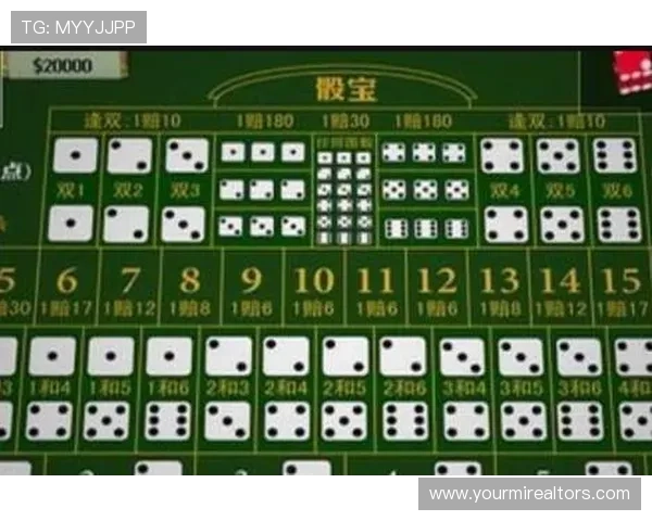 了解骰宝游戏的起源与演变,感受其丰富的文化底蕴