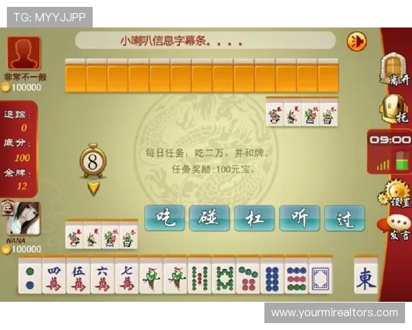 二人麻将的基本规则与常用打法技巧,提升你的游戏水平和胜率